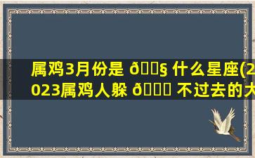属鸡3月份是 🐧 什么星座(2023属鸡人躲 🐝 不过去的大难)
